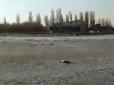 Явище побило всі рекорди: З Азовським морем трапилася катастрофа (відео)