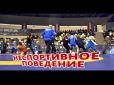 Борці України і Грузії влаштували масову бійку прямо під час турніру (відео)